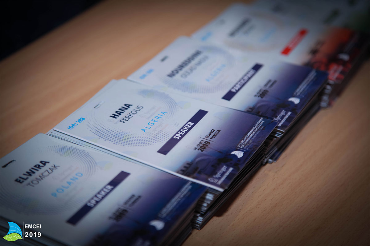 EMCEI 2019
