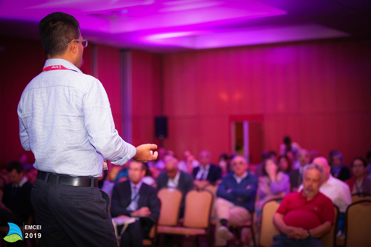 EMCEI 2019